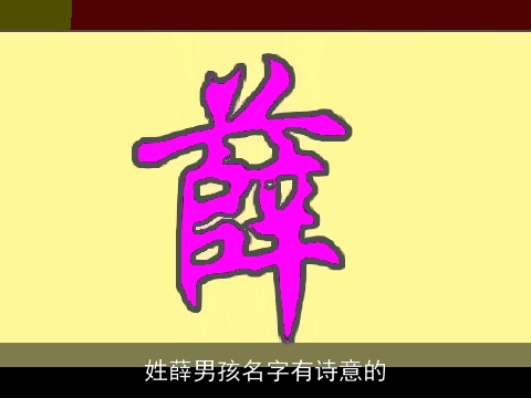 姓薛男孩名字有诗意的