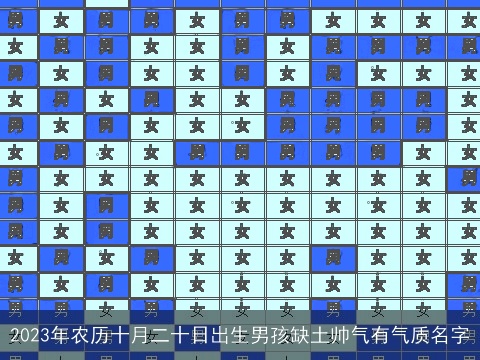 2023年农历十月二十日出生男孩缺土帅气有气质名字