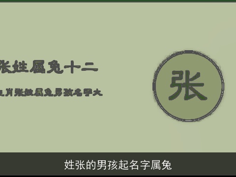 姓张的男孩起名字属兔