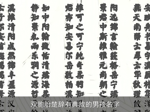 双胞胎楚辞有典故的男孩名字