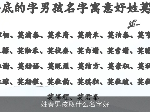 姓秦男孩取什么名字好