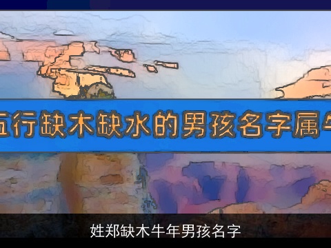 姓郑缺木龙年男孩名字