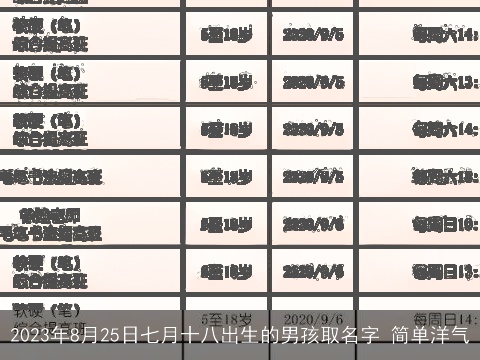 2023年8月25日七月十八出生的男孩取名字 简单洋气