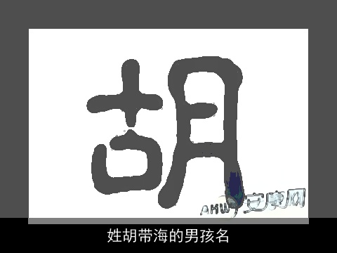 姓胡带海的男孩名