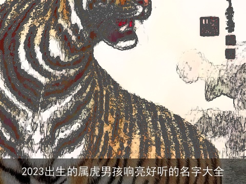 2023出生的属虎男孩响亮好听的名字大全