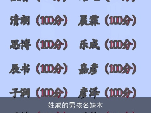 姓戚的男孩名缺木