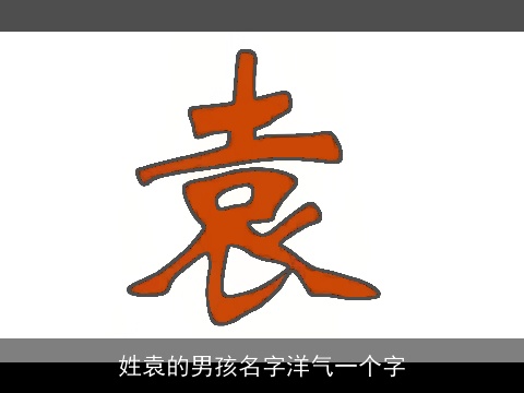 姓袁的男孩名字洋气一个字