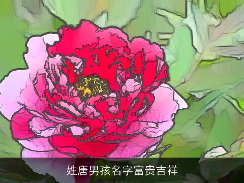 姓唐男孩名字富贵吉祥