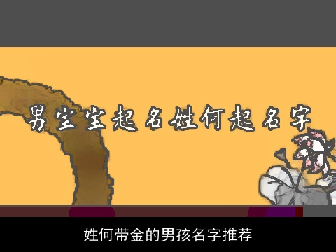 姓何带金的男孩名字推荐