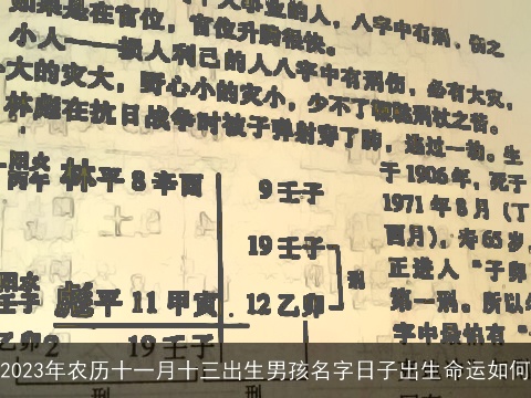 2023年农历十一月十三出生男孩名字日子出生命运如何