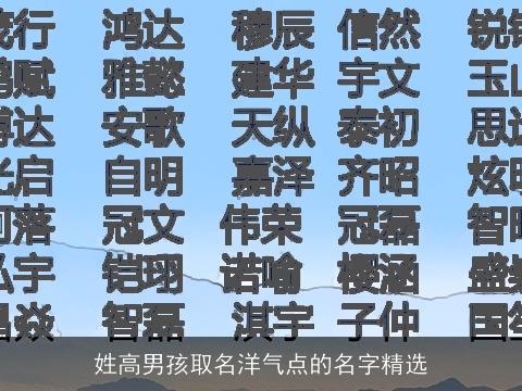 姓高男孩取名洋气点的名字精选