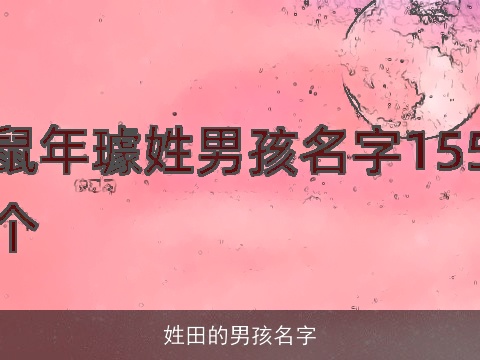 姓田的男孩名字
