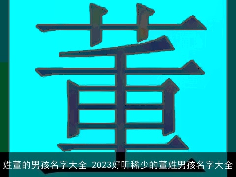 姓董的男孩名字大全 2023好听稀少的董姓男孩名字大全