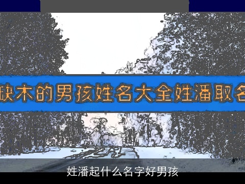 姓潘起什么名字好男孩