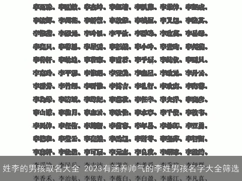 姓李的男孩取名大全 2023有涵养帅气的李姓男孩名字大全筛选