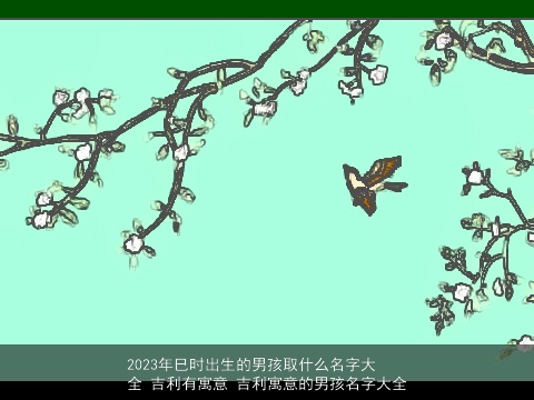 2023年巳时出生的男孩取什么名字大全 吉利有寓意 吉利寓意的男孩名字大全