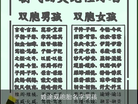 姓涂双胞胎名字男孩