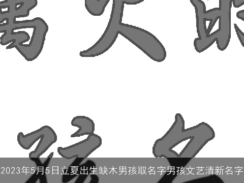 2023年5月5日立夏出生缺木男孩取名字男孩文艺清新名字
