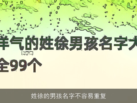 姓徐的男孩名字不容易重复