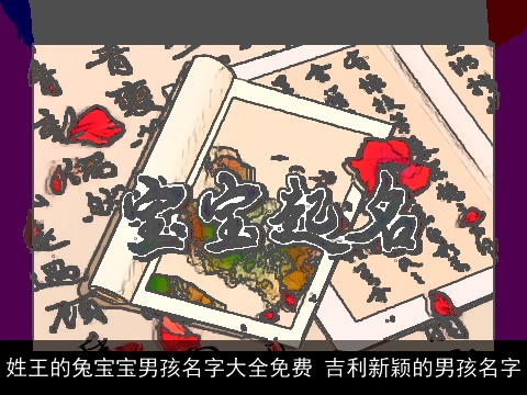 姓王的兔宝宝男孩名字大全免费 吉利新颖的男孩名字