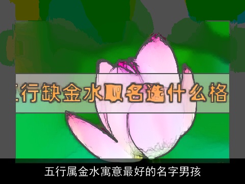 五行属金水寓意最好的名字男孩
