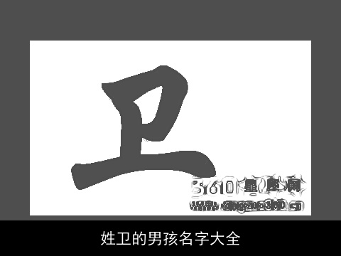 姓卫的男孩名字大全