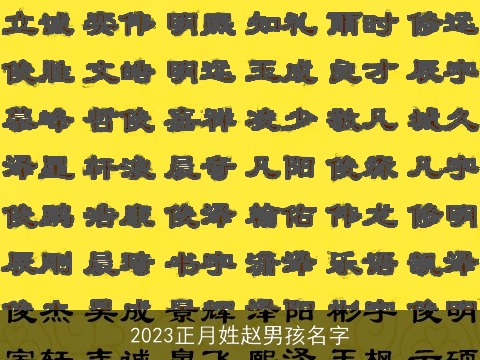 2023正月姓赵男孩名字