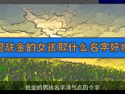 姓金的男孩名字洋气点四个字