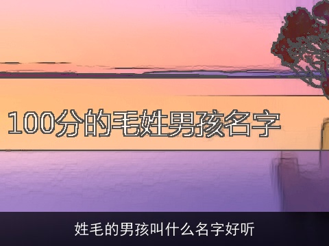 姓毛的男孩叫什么名字好听