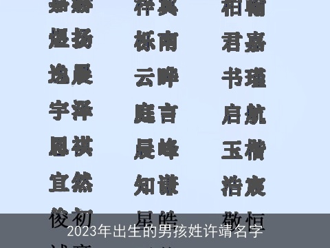 2023年出生的男孩姓许靖名字