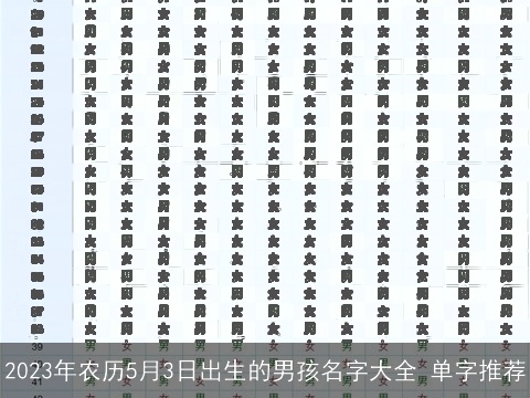 2023年农历5月3日出生的男孩名字大全 单字推荐