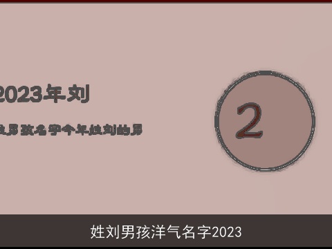 姓刘男孩洋气名字2023