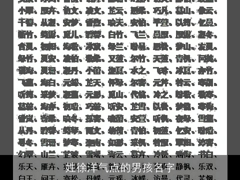 姓徐洋气点的男孩名字