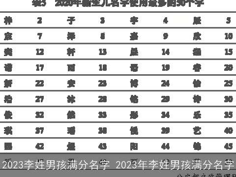 2023李姓男孩满分名字 2023年李姓男孩满分名字