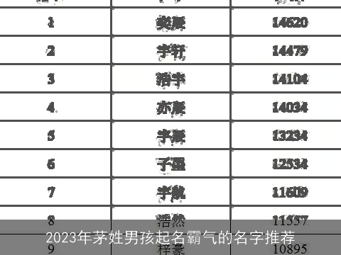 2023年茅姓男孩起名霸气的名字推荐