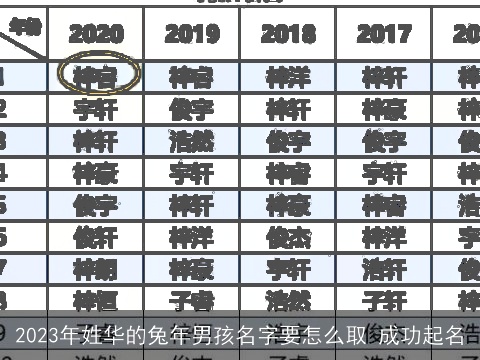 2023年姓华的兔年男孩名字要怎么取 成功起名