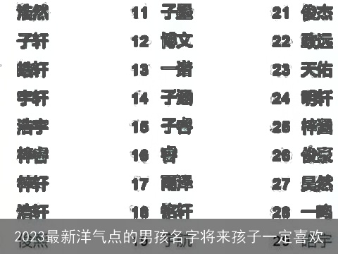 2023最新洋气点的男孩名字将来孩子一定喜欢