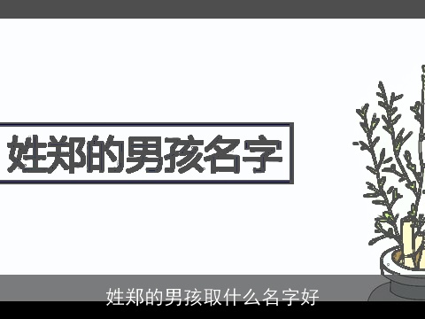 姓郑的男孩取什么名字好