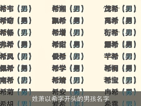 姓萧以希字开头的男孩名字