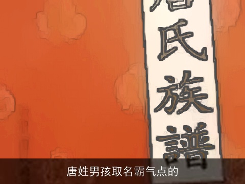 唐姓男孩取名霸气点的