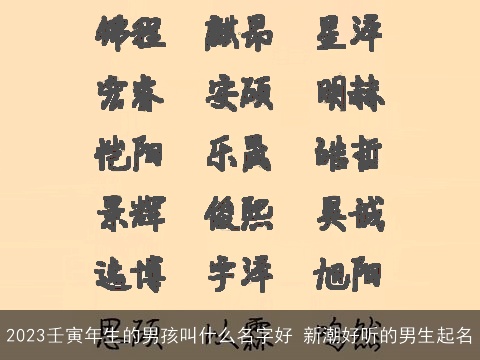 2023壬寅年生的男孩叫什么名字好 新潮好听的男生起名