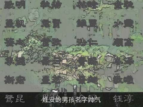 姓安的男孩名字帅气