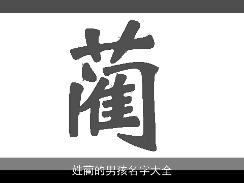 姓蔺的男孩名字大全