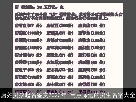 唐姓男孩起名鉴赏2023年 寓意深远的男生名字大全