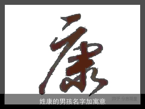 姓康的男孩名字加寓意