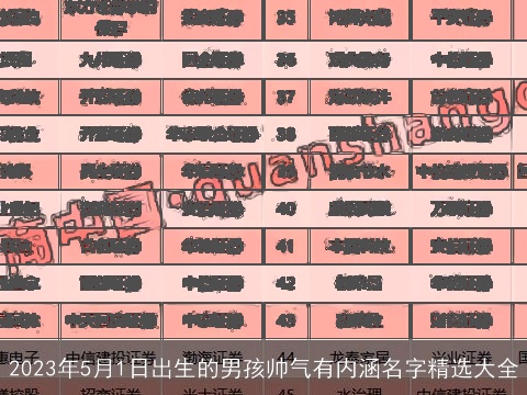 2023年5月1日出生的男孩帅气有内涵名字精选大全