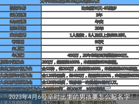 2023年4月6号辛时出生的男孩要怎么起名字