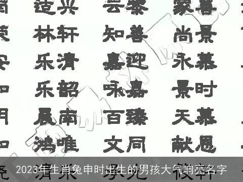2023年生肖兔申时出生的男孩大气响亮名字