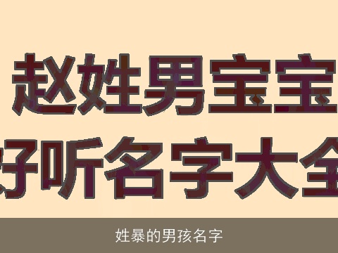 姓暴的男孩名字