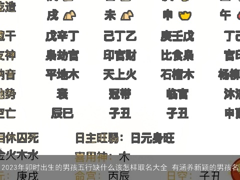 2023年卯时出生的男孩五行缺什么该怎样取名大全 有涵养新颖的男孩名